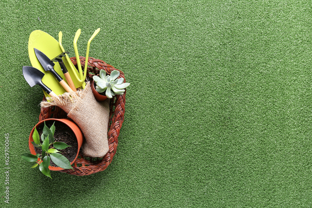 Basket with different gardening tools and houseplants on color background