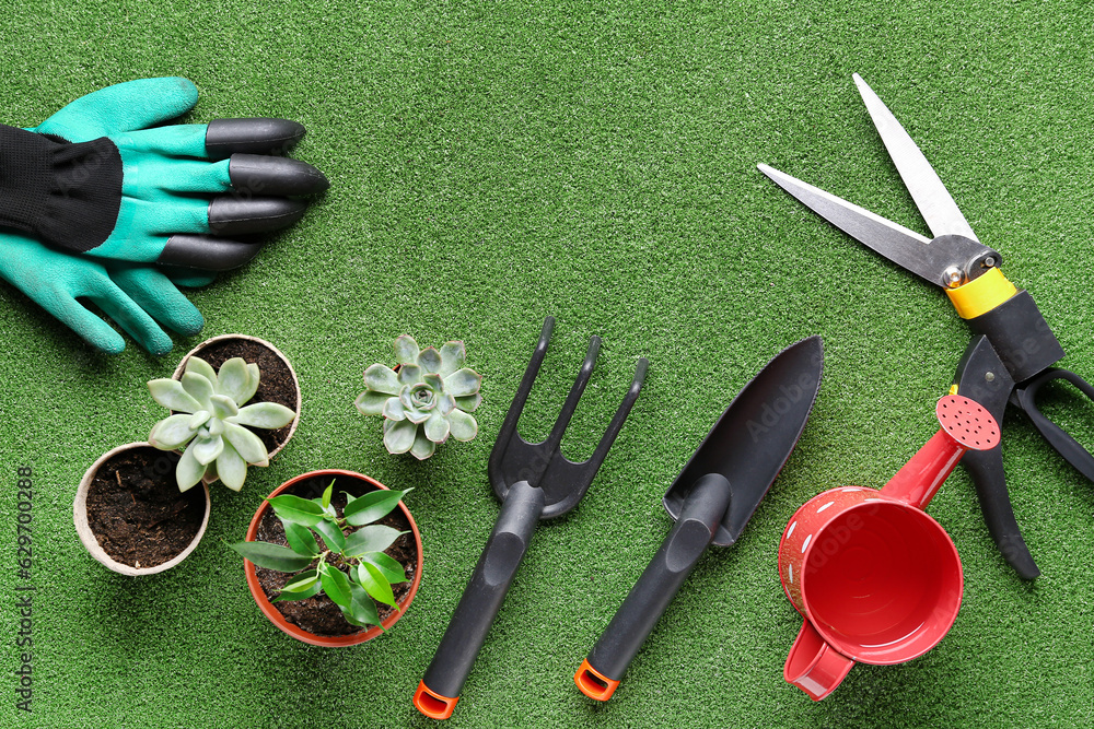 Composition with different gardening tools and plants on color background