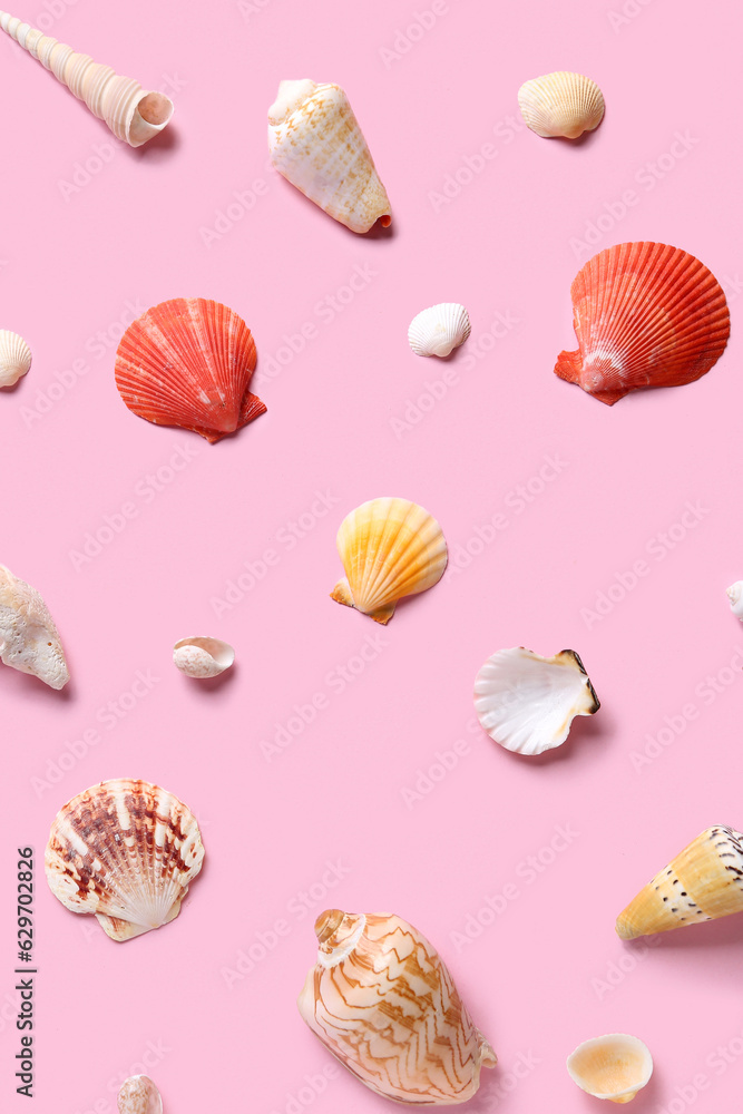 Many different seashells on pink background