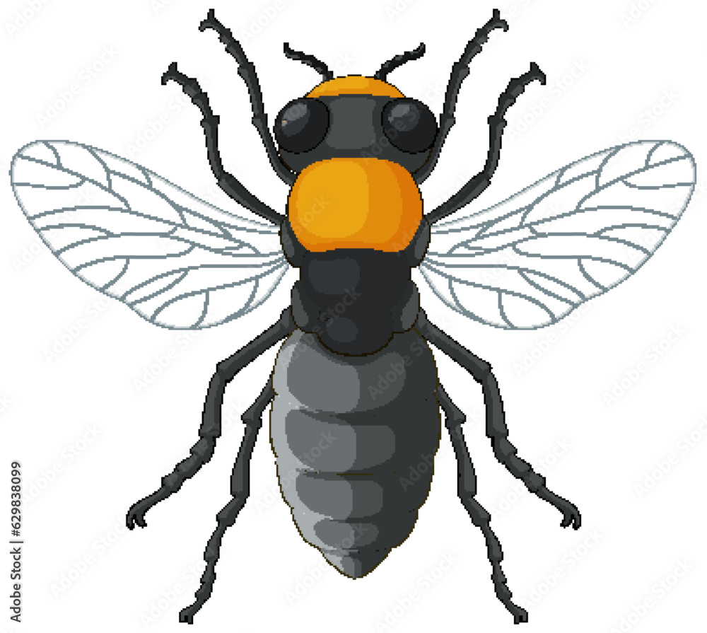 Bee Insect Vector Isolated on White Background