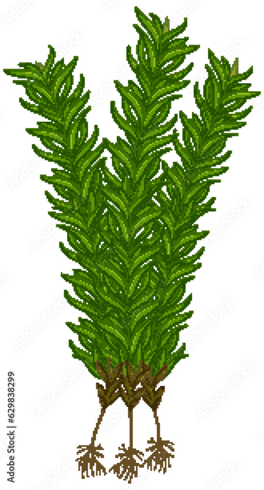 Cartoon Illustration of a Moss Plant