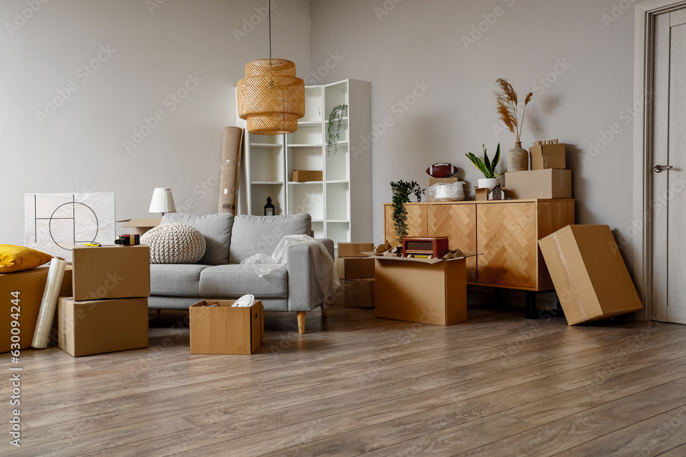 Cardboard boxes with things and sofa in living room on moving day