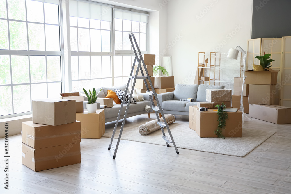 Sofas with stepladder and cardboard boxes in living room on moving day