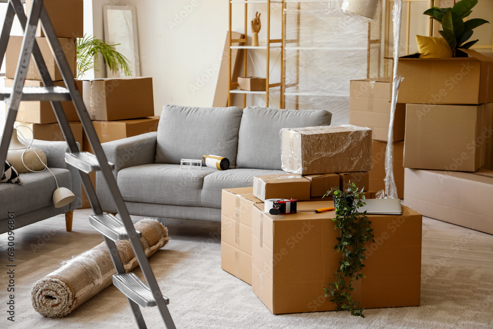 Sofas with cardboard boxes in living room on moving day