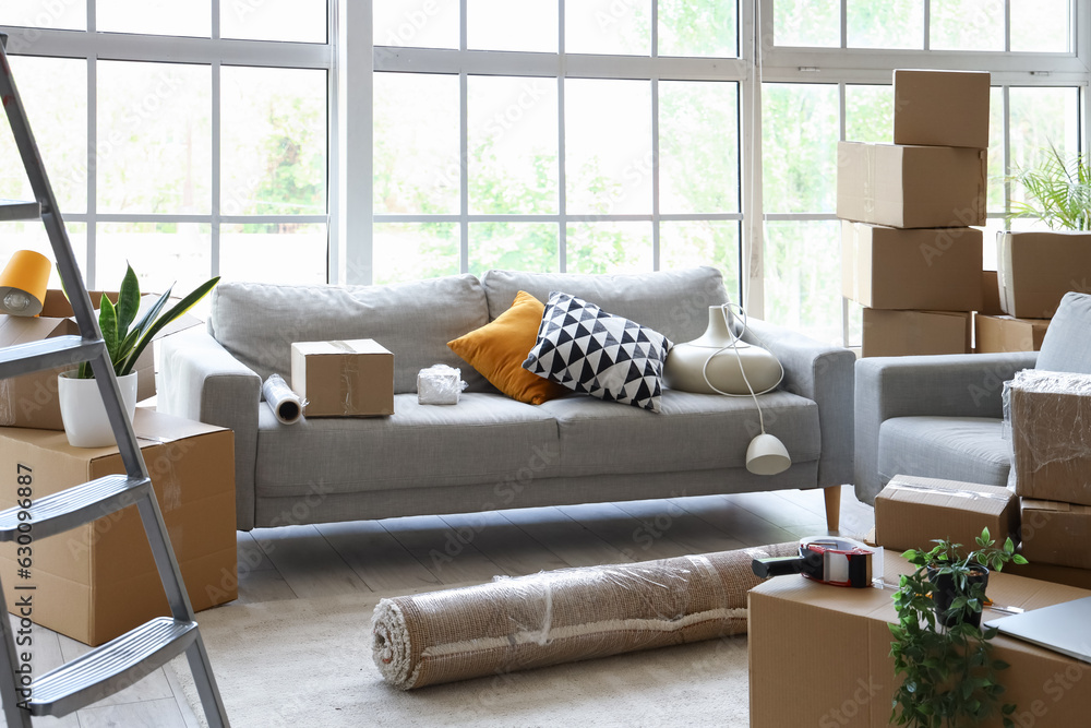 Sofas with cardboard boxes in living room on moving day