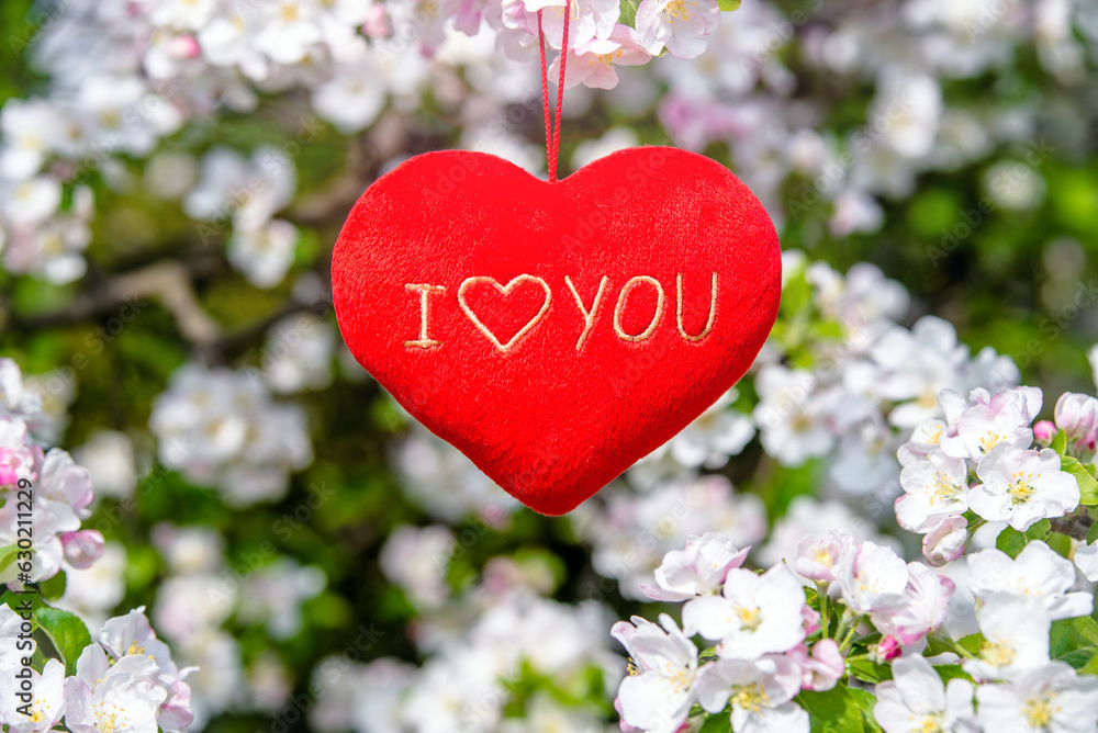 A symbol of love among the branches of a flowering apple 