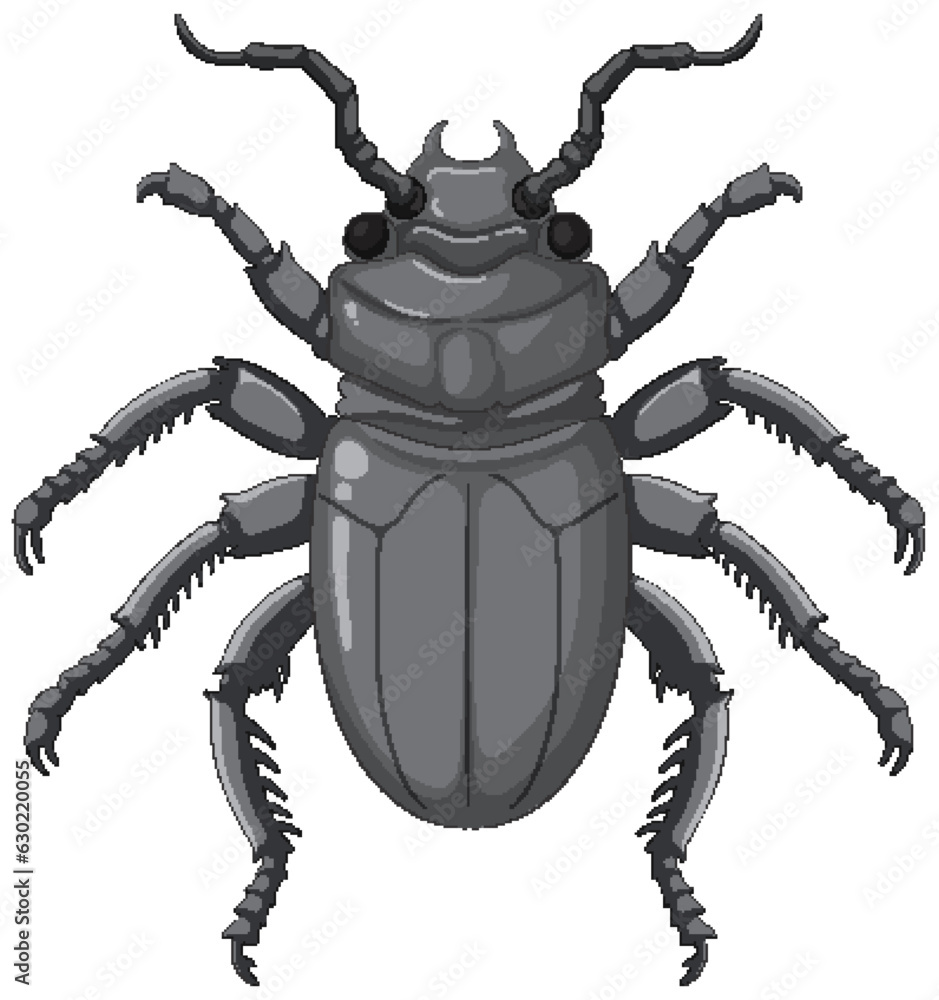 Scarab Beetle Vector Isolated on White Background