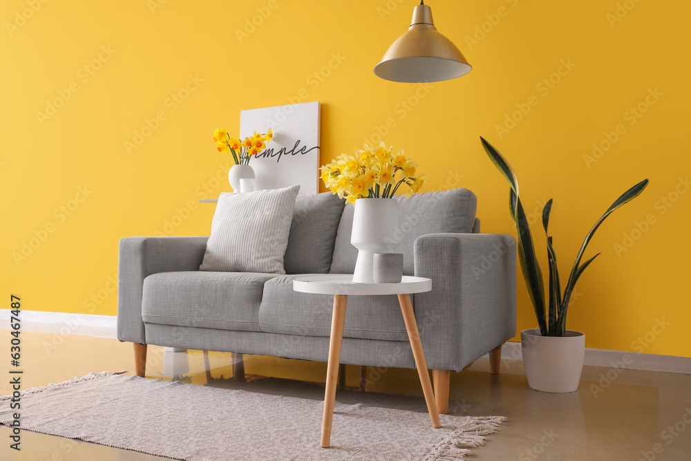 Interior of living room with grey sofa and blooming narcissus flowers on coffee table