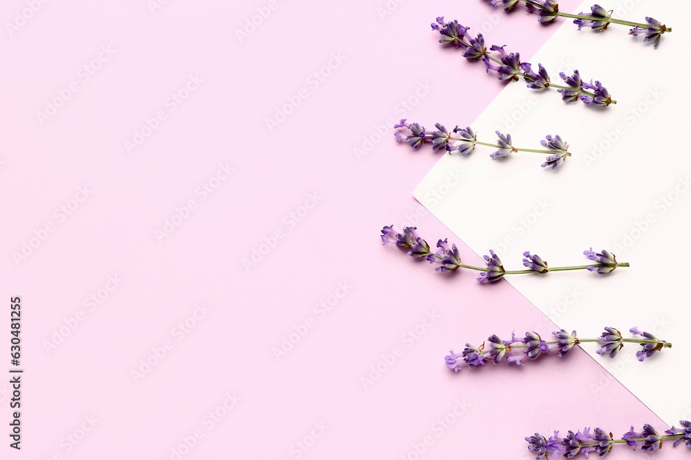 Branches of beautiful lavender flowers and paper sheet on pink background, closeup