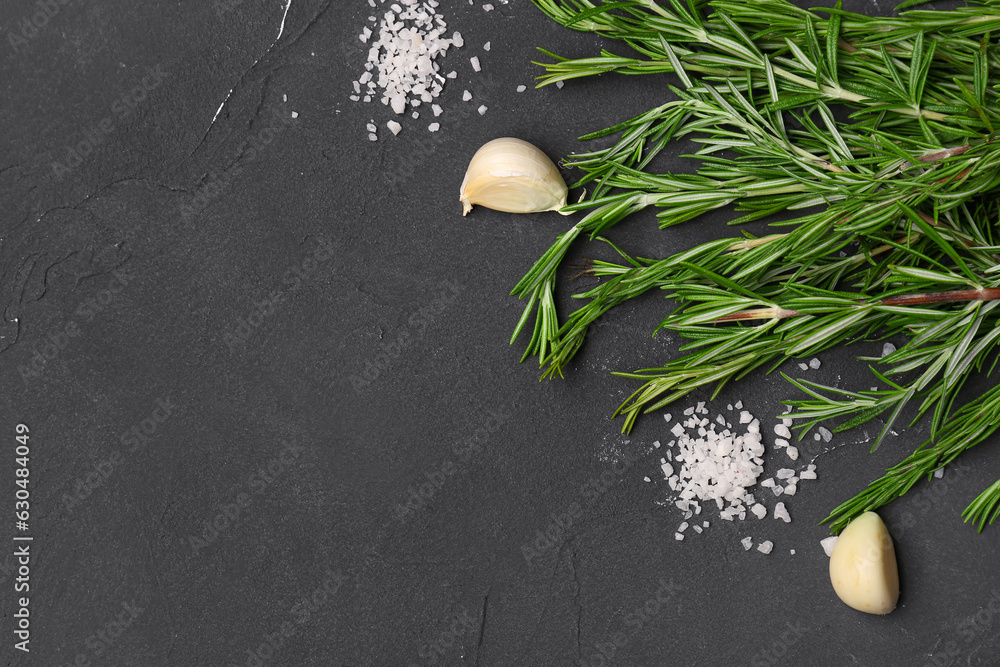 Composition with fresh rosemary, sea salt and garlic on dark background