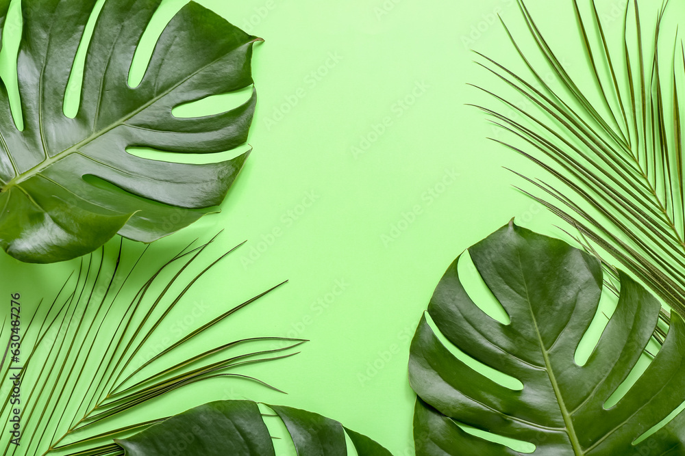 Different tropical leaves on green background