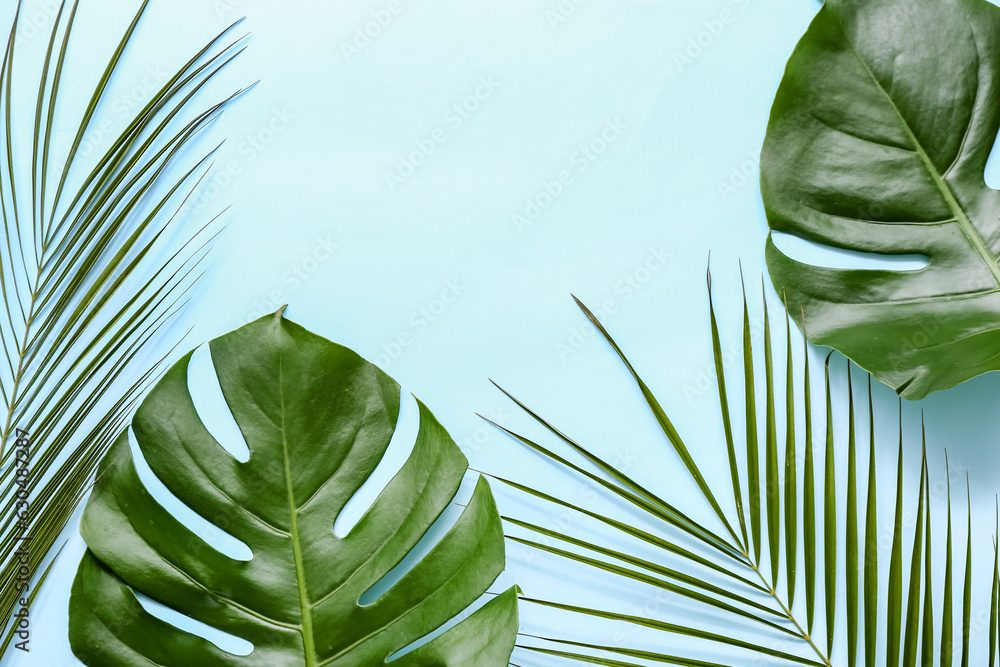 Different tropical leaves on blue background