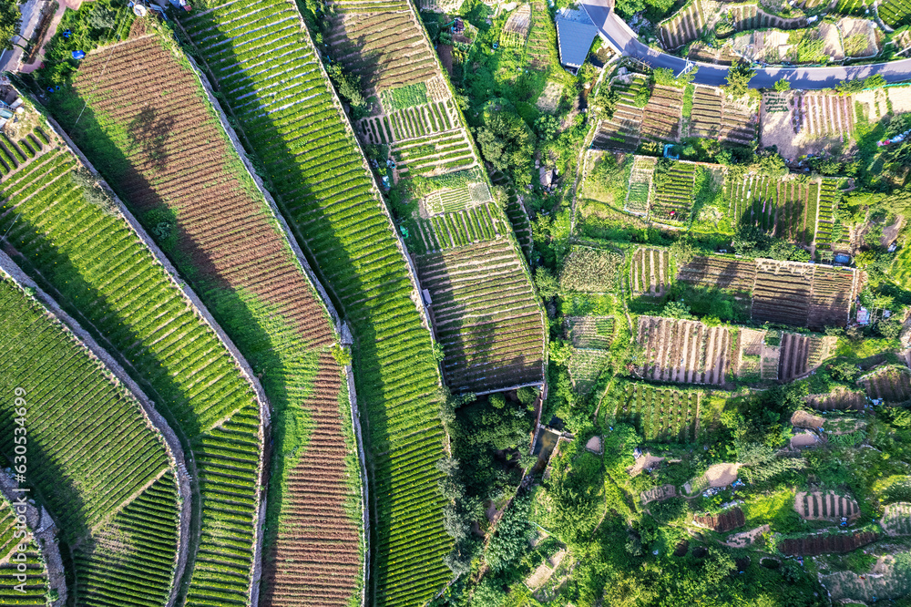 Aerospace Qingdao Coastline rural pastoral scenery