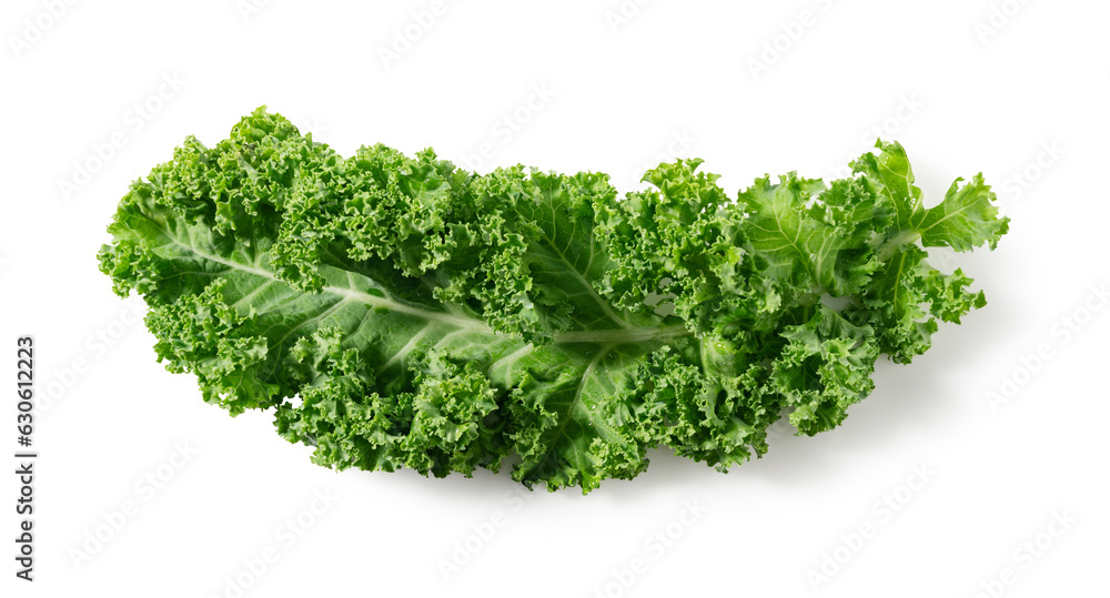 Kale placed on a white background.