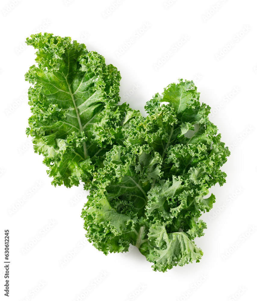 Kale placed on a white background.