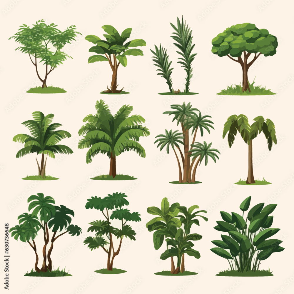 rain forest trees set vector flat minimalistic isolated illustration