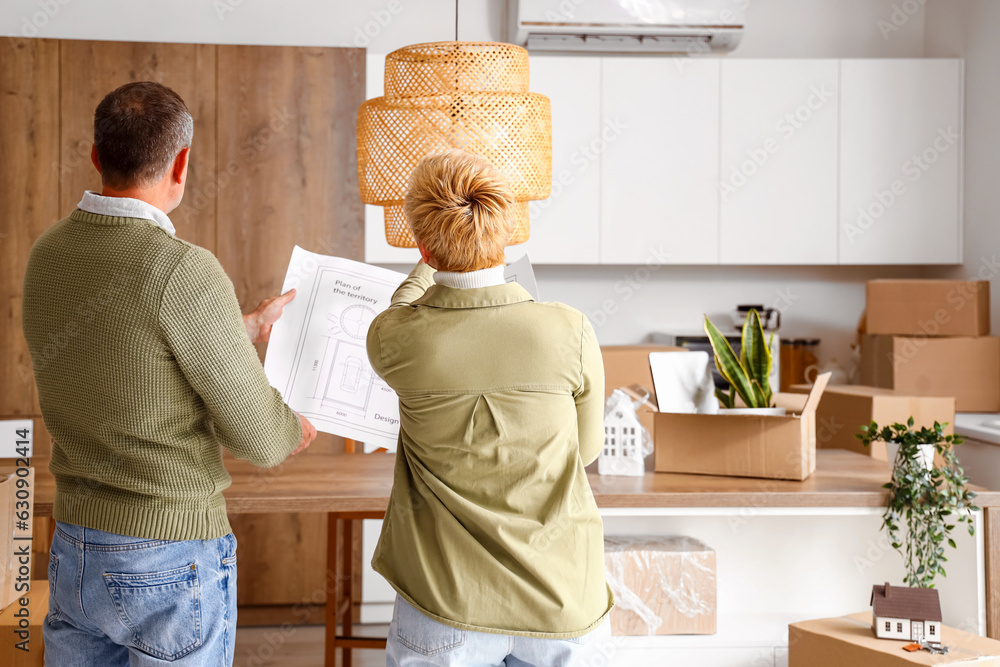 Mature couple with house plan in kitchen on moving day, back view