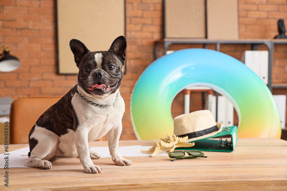 French bulldog with beach accessories on table in office