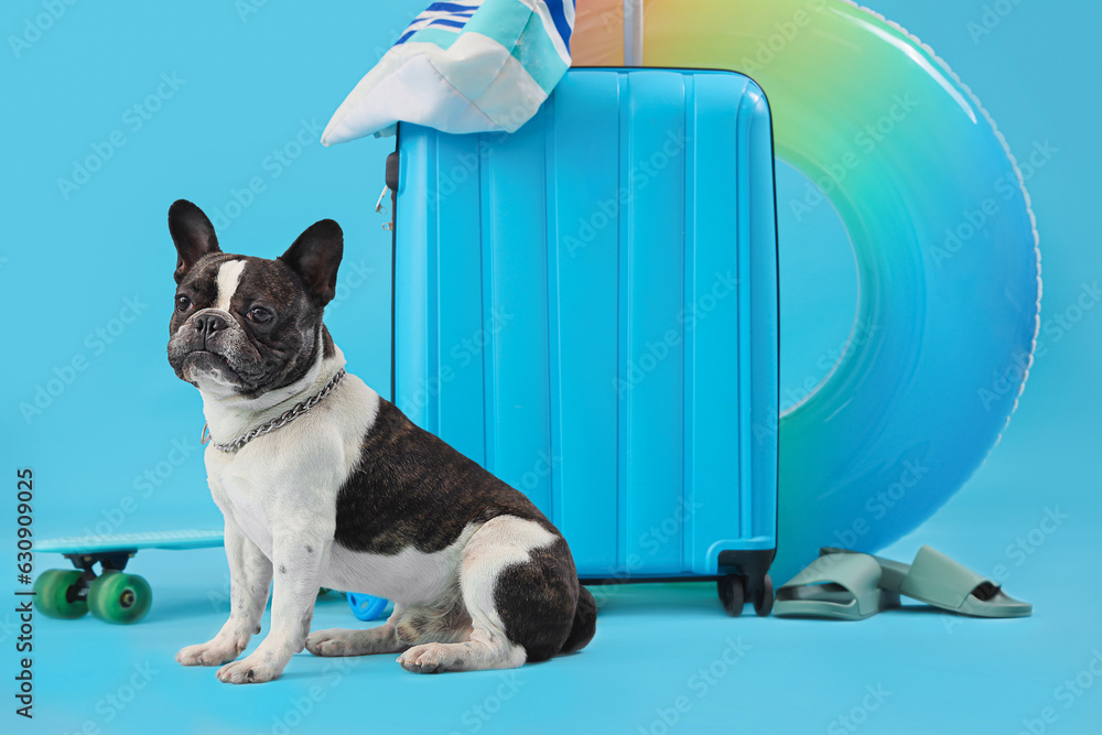 French bulldog with suitcase and beach accessories on blue background