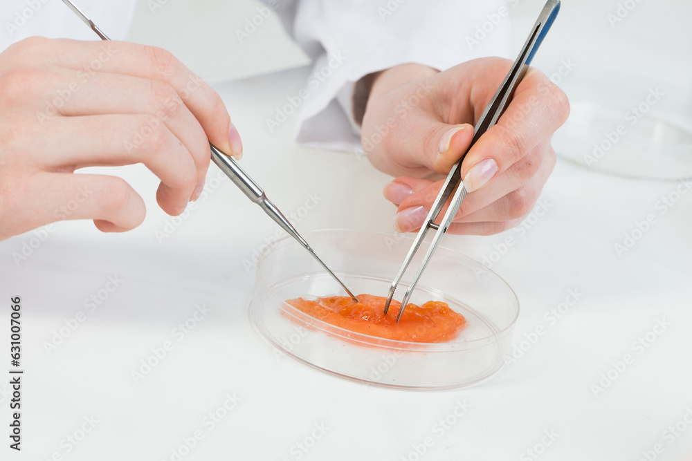 Microbiologist researching sample in petri dish.