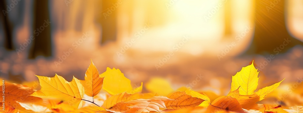 A bunch of beautiful yellow and orange leaves in an autumn park on a bright sunny day. Natural color