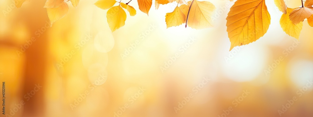 Beautiful blurred gentle universal natural light autumn background with yellow leaves and blurred bo