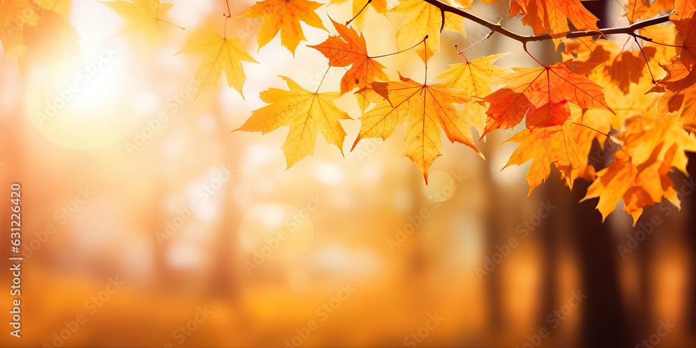 Beautiful orange and golden autumn maple leaves against a blurry park in sunlight with beautiful bok