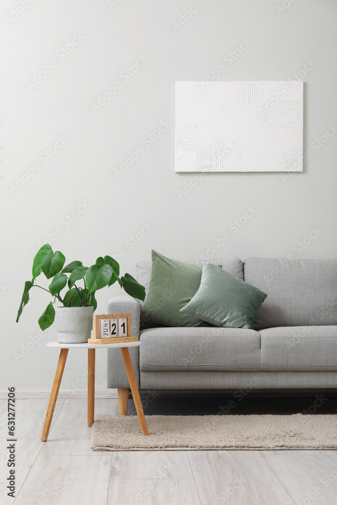 Stylish grey sofa, houseplant and picture hanging on light wall in living room