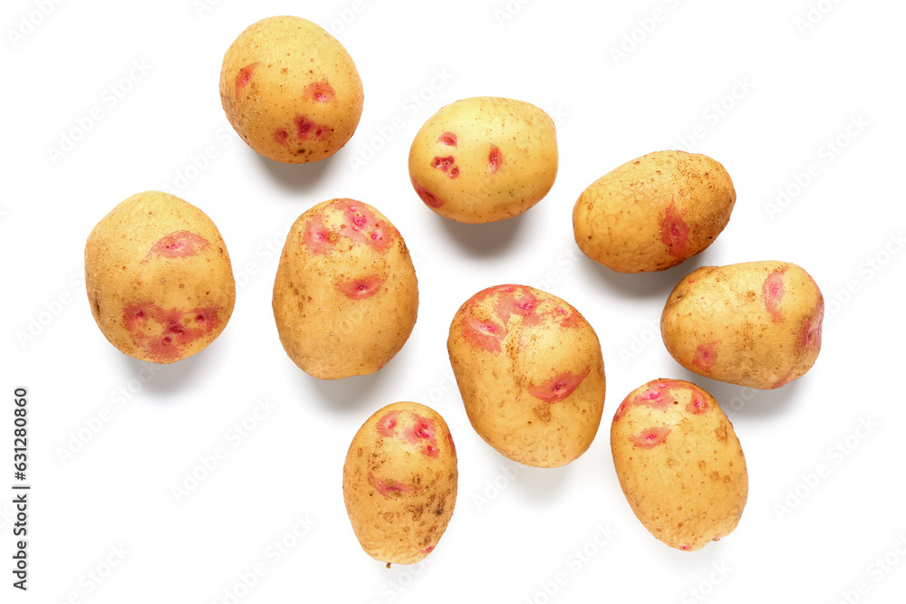 Many fresh raw potatoes on white background