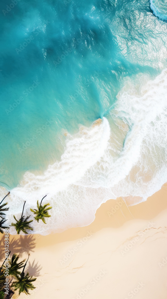 Aerial top view on sand ocean beach with palm trees. Summer vacation paradise concept. Vertical. Gen