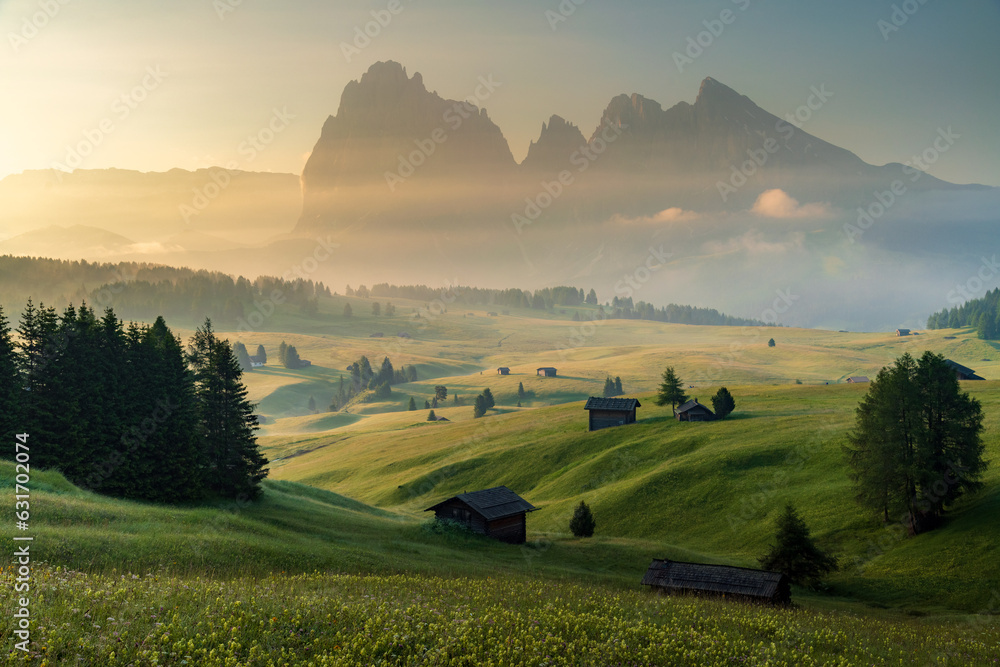 Seiser Alm (Alpe di Siusi) with Langkofel mountain at sunrise in summer, Italy