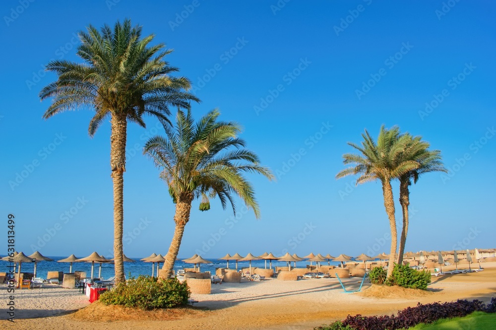 Idylic beach with palms and sun umbrelas, Red Sea, Egypt