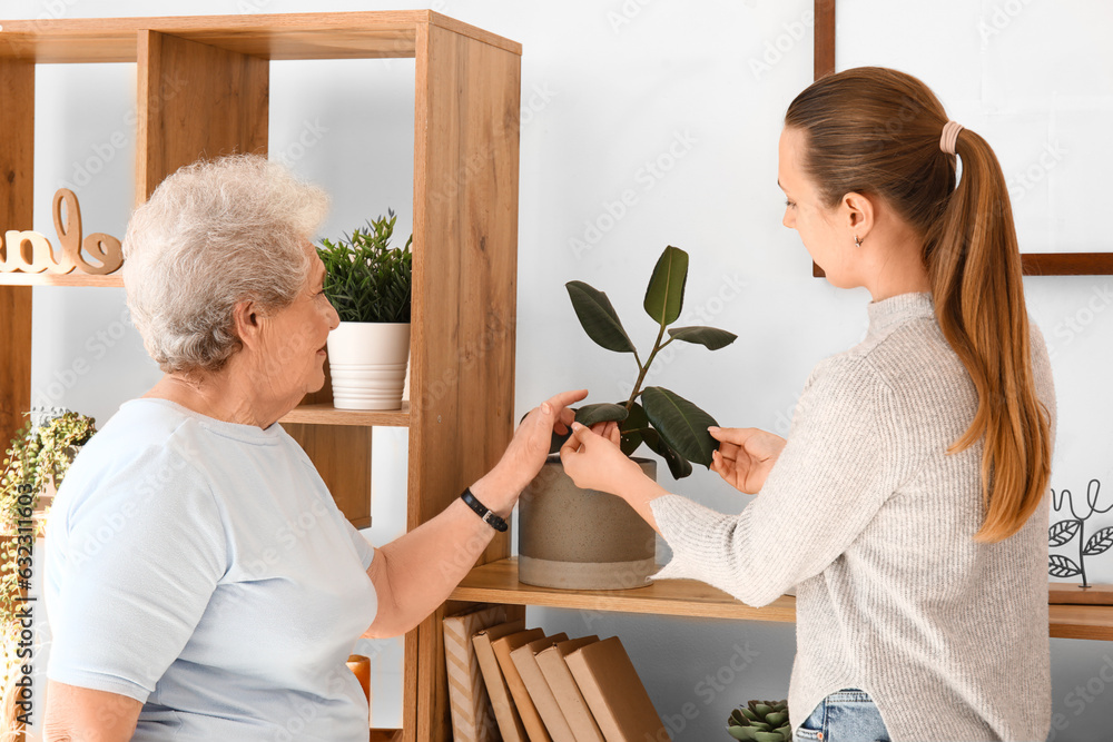 Senior woman with her granddaughter and houseplant at home