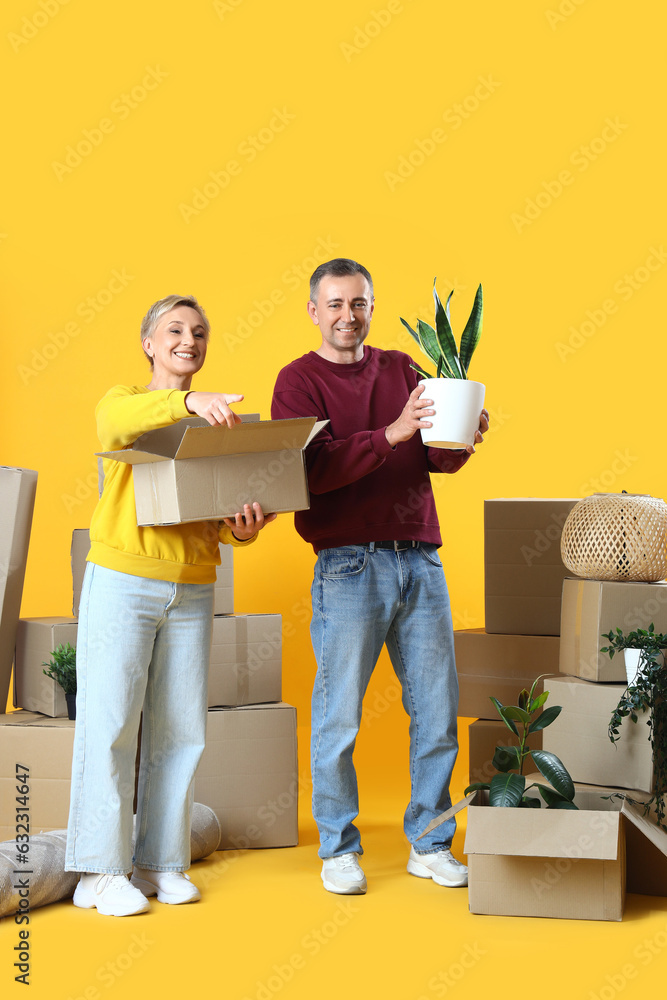 Mature couple with moving boxes on yellow background