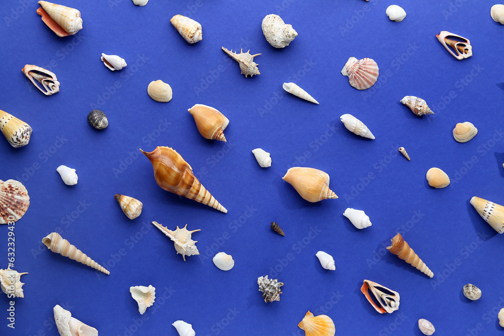 Different seashells on blue background