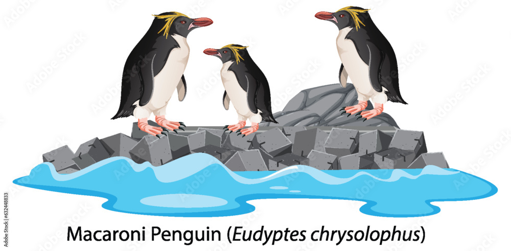 Macaroni penguin cartoon on the rock