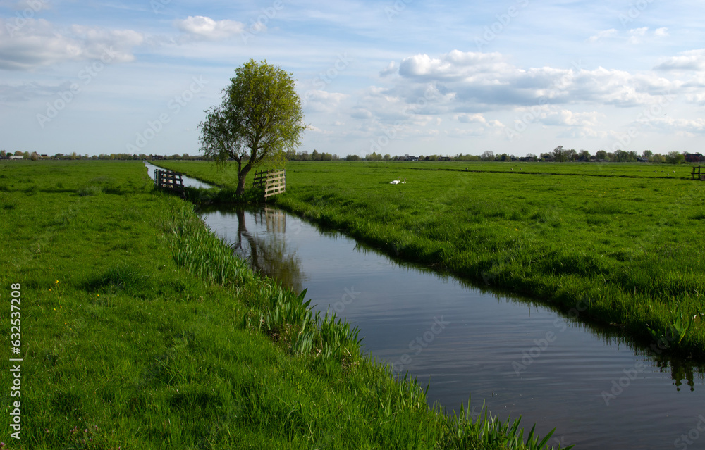 Landscape green meadow and canal with clear water