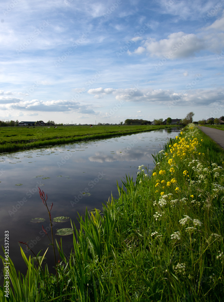 Landscape green meadow and canal with clear water