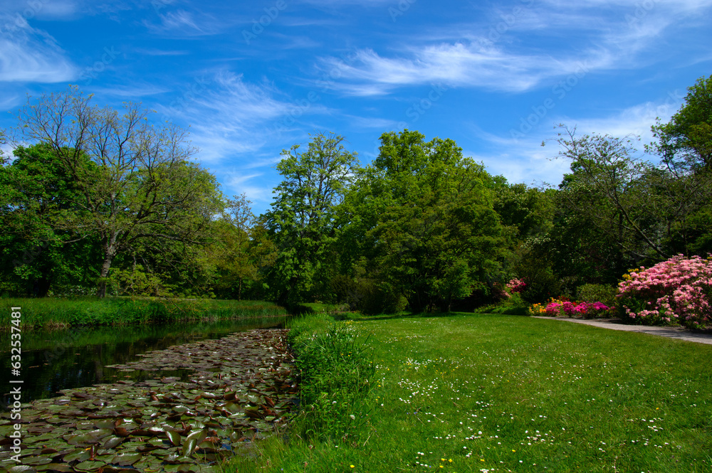 Lake in city park