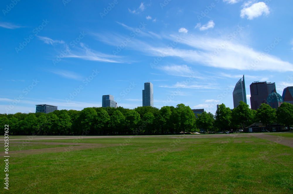 City park on blue sky background