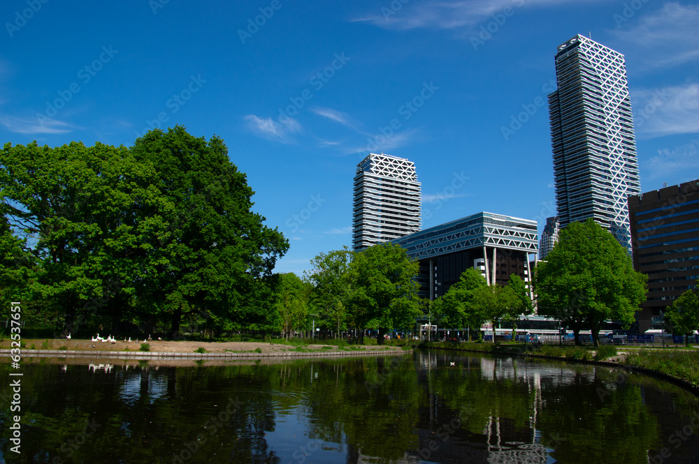 City park on blue sky background