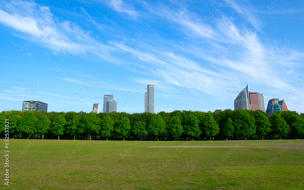 City park on blue sky background