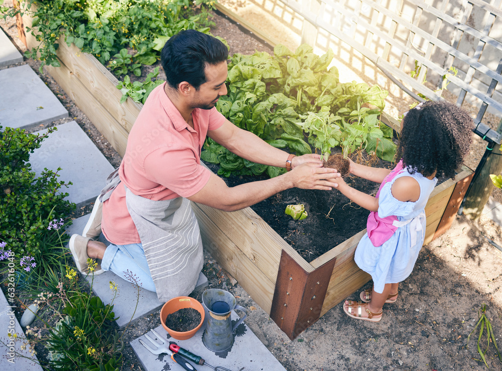 Gardening, dad helping daughter with plants and sustainability, teaching and learning with growth in