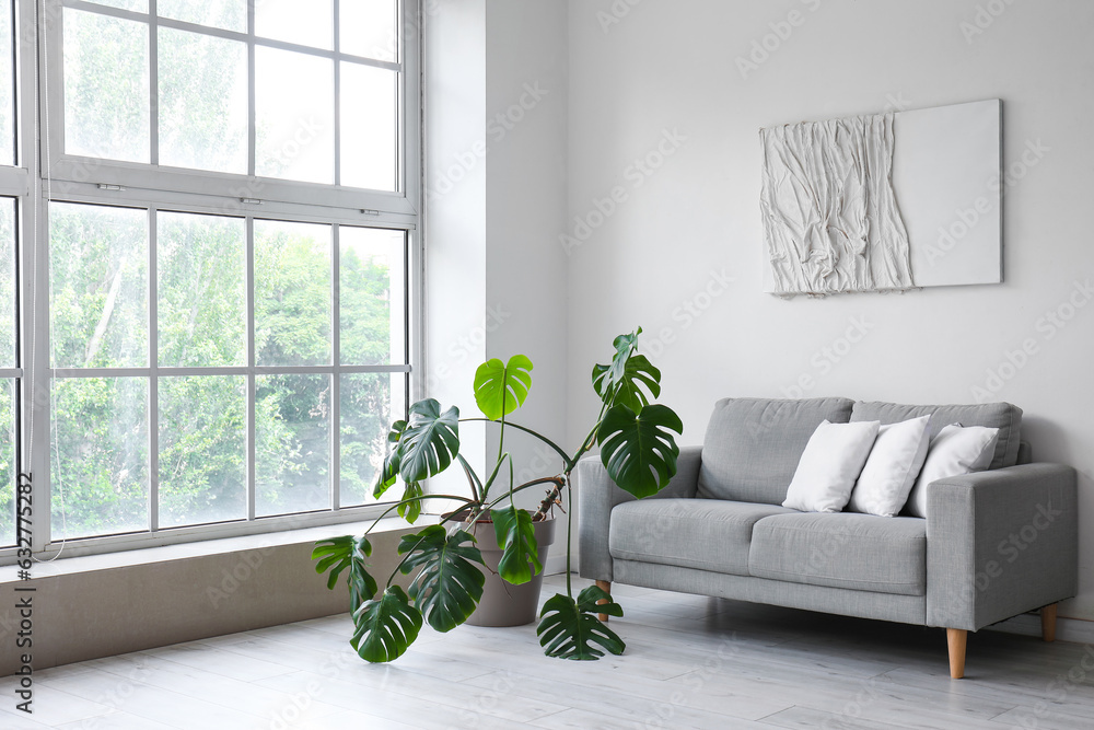 Grey sofa with pillows and houseplant near white wall