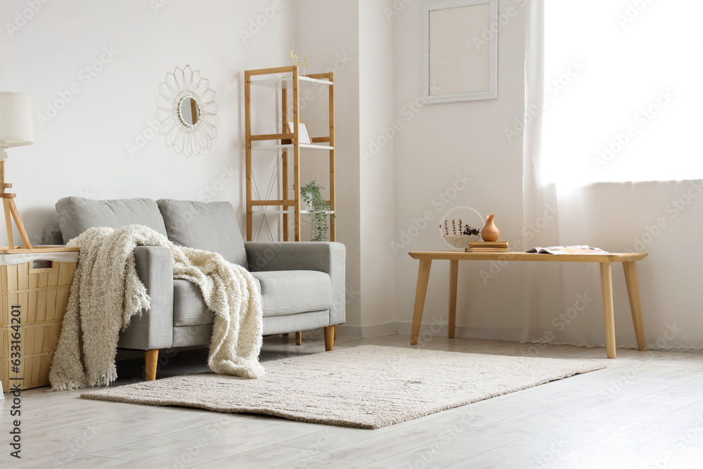 Cozy grey sofa with soft blanket in interior of light living room