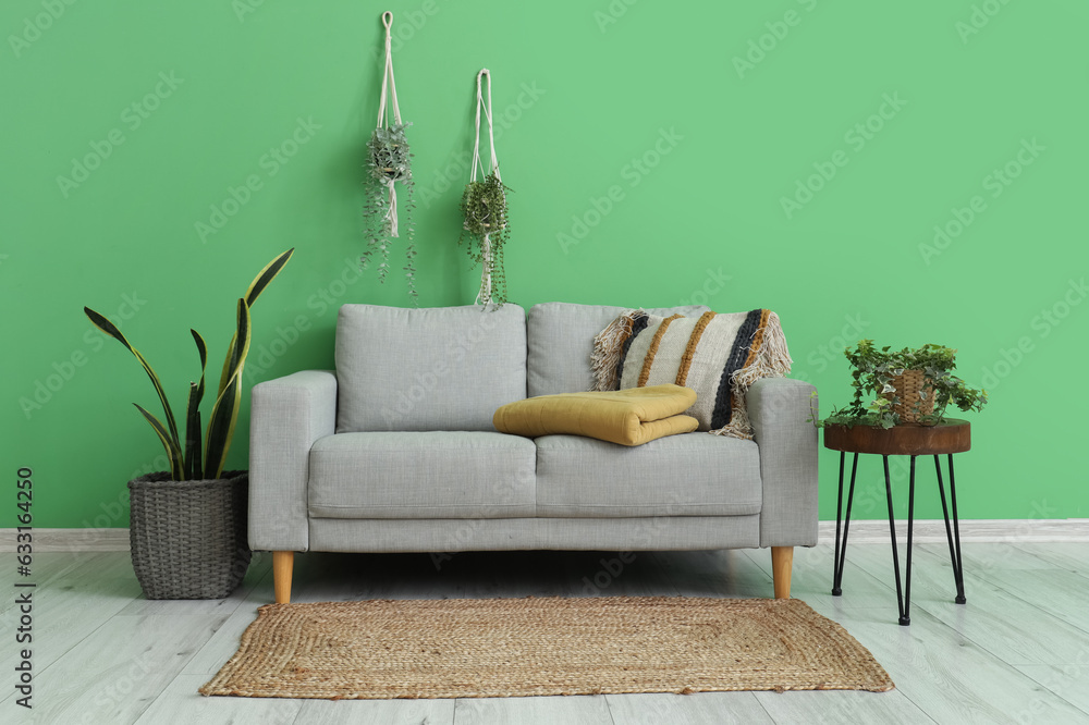 Interior of living room with folded plaid on sofa and houseplants