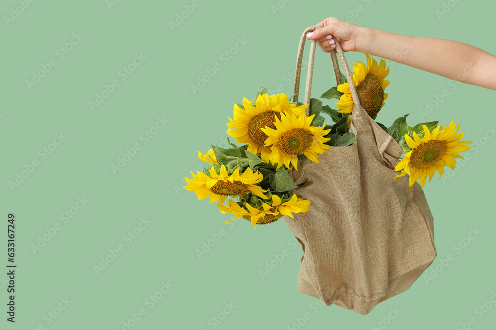 Female hand with beautiful sunflowers in bag on green background