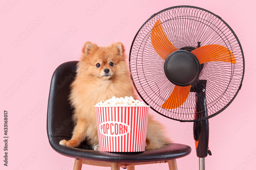 Cute Pomeranian spitz with popcorn bucket and electric fan sitting on chair against pink background