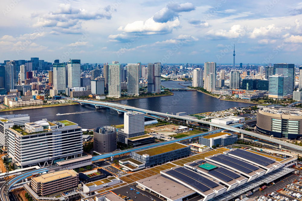 Aerial view of Odaiba Harbor in Minato City, Tokyo, Japan