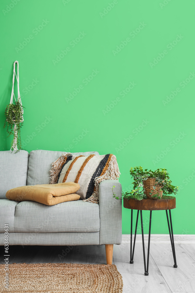 Interior of living room with folded plaid on sofa and houseplants